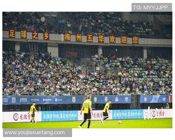 春季足球盛典明星阵容揭晓球迷期待激情对决与精彩表现