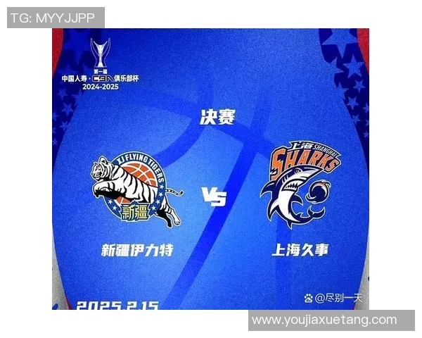 西安篮球队在杯赛中的实力分析与表现评估