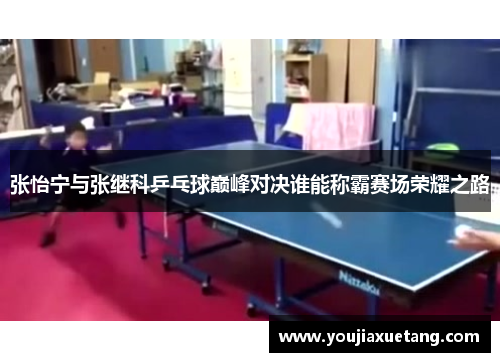 张怡宁与张继科乒乓球巅峰对决谁能称霸赛场荣耀之路